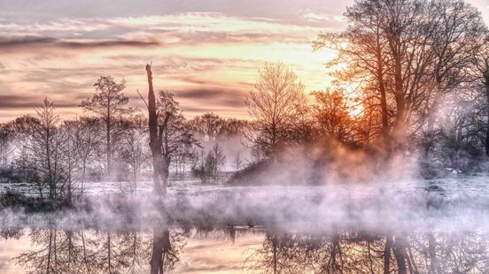 Van crime scene tot de Regge: Wim zet alles op de foto Home
