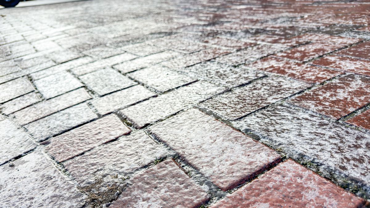 Door sneeuw en ijs geen Night Trail in Zwolle