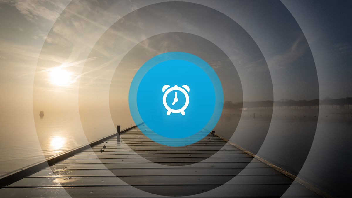 Goedemorgen! Gemeente koopt kerk, tunnelreparatie en walviskaak gaat weg