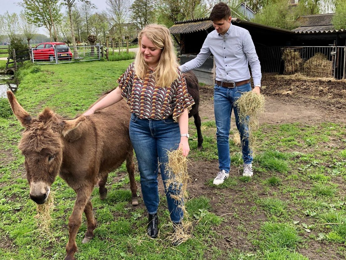 Rosanna en Elroy met de ezels in het weiland