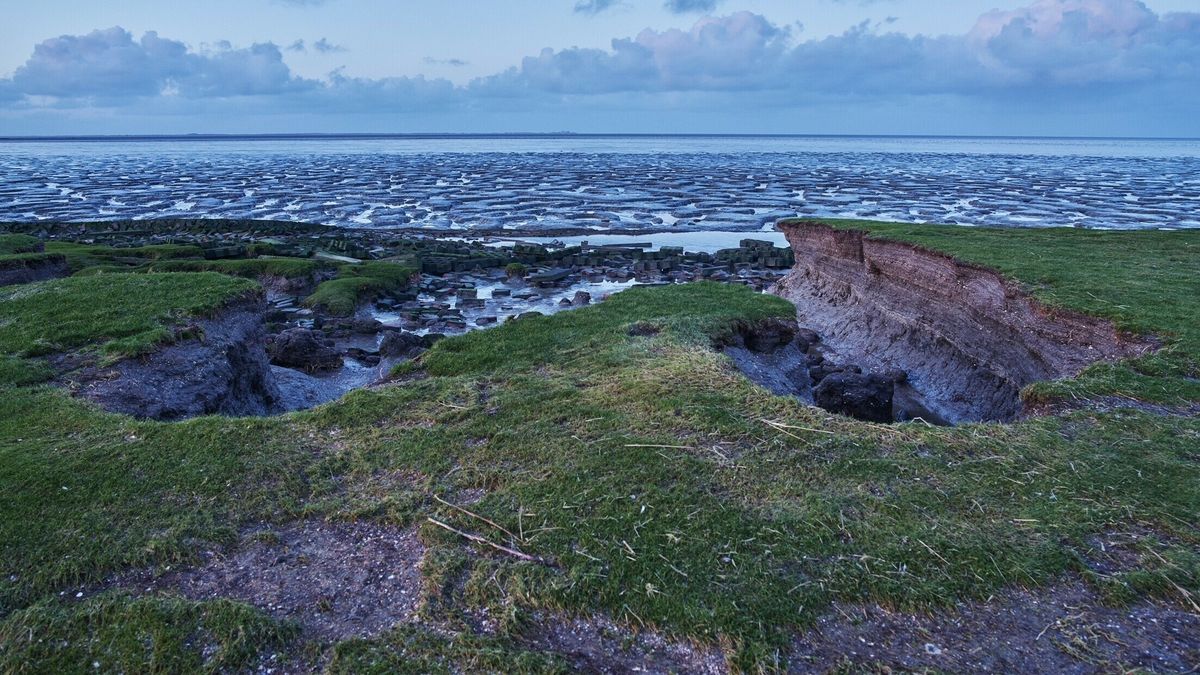 Ministerie geeft voorlopig geen vergunning af voor gasboringen bij Ternaard