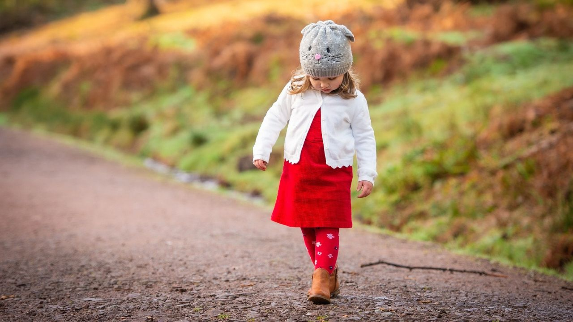 De leukste activiteiten in de natuur met kinderen in de herfstvakantie