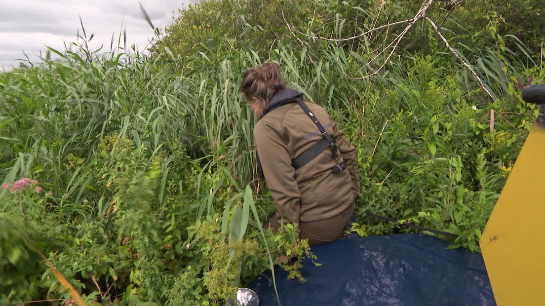 Reportage uit Expeditie Nederland,  over het verdronken dorp Beulake
