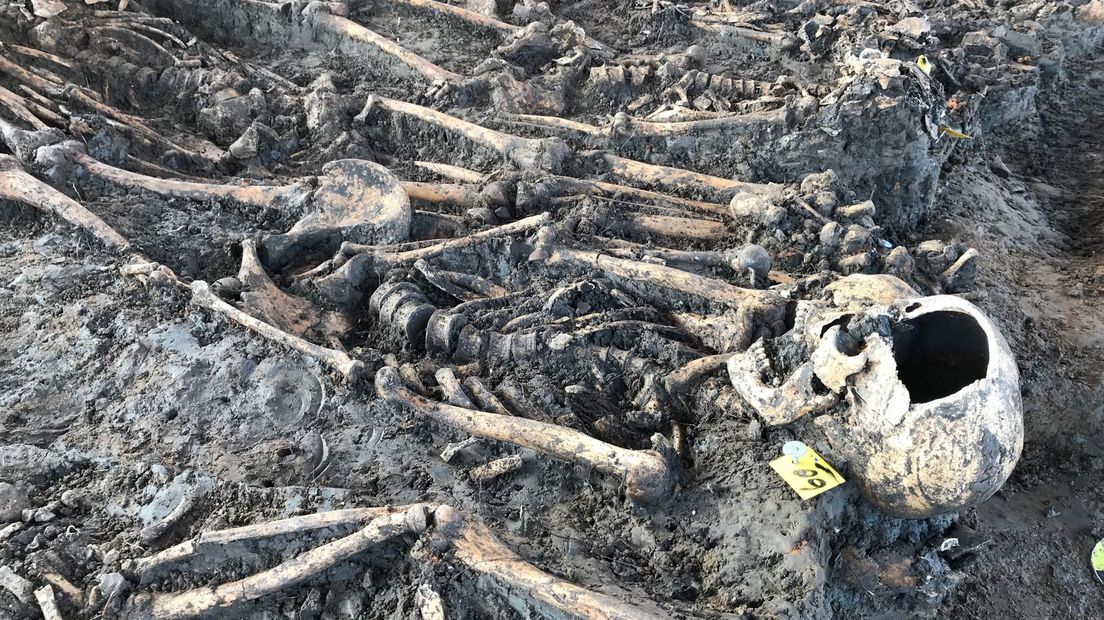 Deze skeletten werden in november vorig jaar al gevonden.