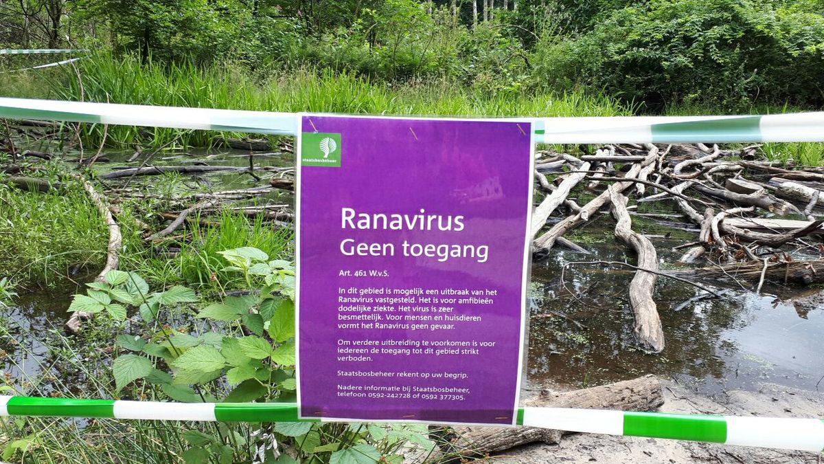 Speelbos bij Boomkroonpad deels afgesloten vanwege virus