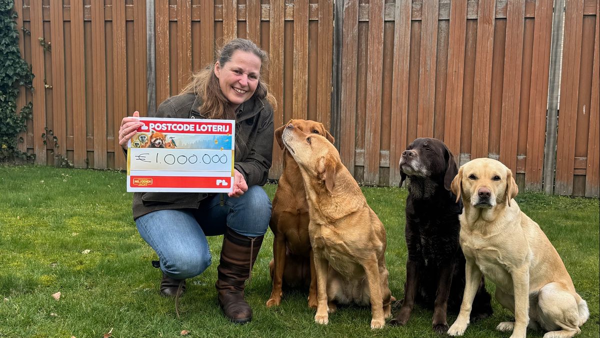 Miljoen voor stel uit Steenwijk: 'Ontzettend slecht van geslapen'