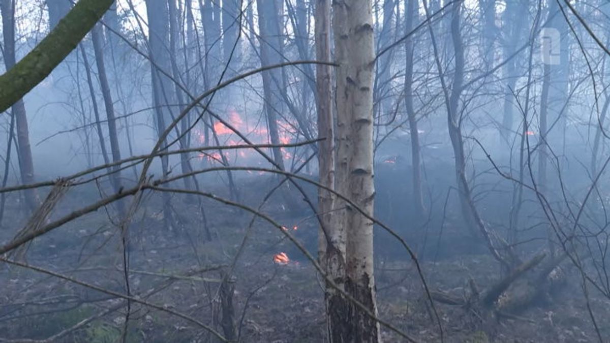 Bosbrand bij Leveroy richt flink wat schade aan