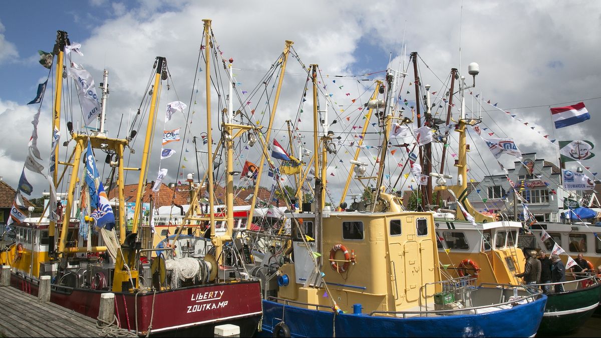 Door weersomstandigheden geen vissersvloot tijdens Pinksterfeesten Zoutkamp: 'Hartstikke zuur'