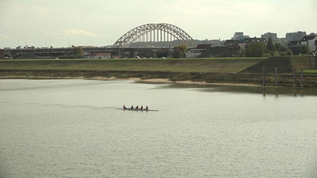 Spiegelwaal.