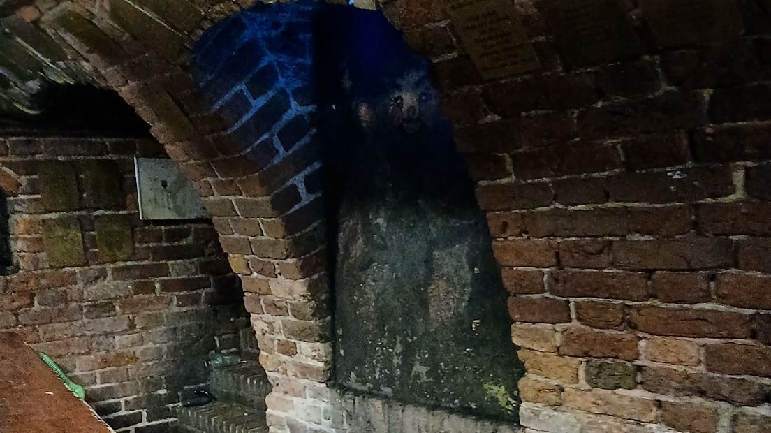 De nis in de kelderbar