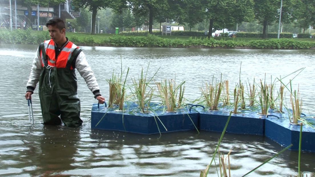 Start Water4Daagse in Zwolle