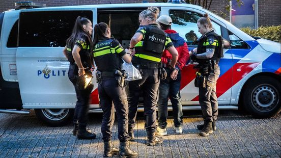Politie vindt pistool in de bosjes en houdt man aan
