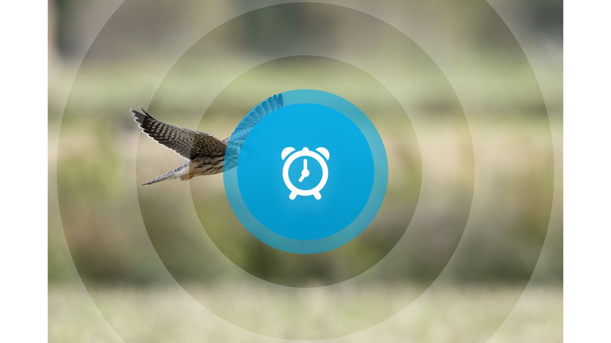 Goedemorgen! Plannen stationsgebied Goes besproken, fietsvierdaagse Oostkapelle en werkzaamheden kru