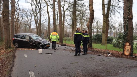 Brandweer bevrijdt ezel • twee aanrijdingen Zutphen. Brandweer bevrijdt ezel • twee aanrijdingen Zutphen.