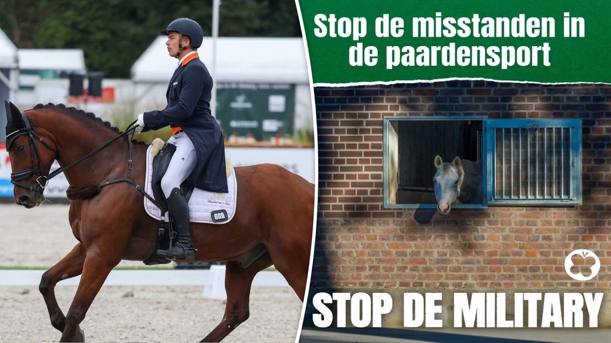 'Paardenwelzijn blijft discussiepunt': Partij voor de Dieren krijgt rondje Military