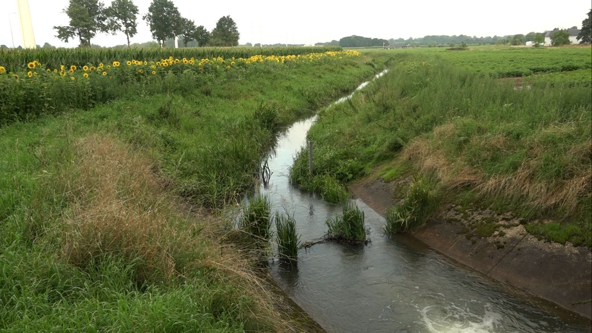 Grondwaterstanden nog onder gemiddeld na droge winter.