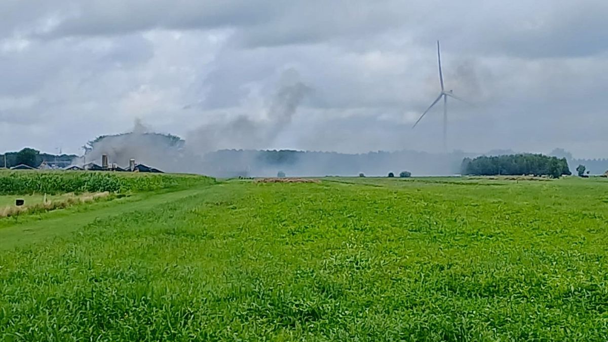 Stalbrand in Vianen 'redelijk onder controle', dieren nagekeken door veearts