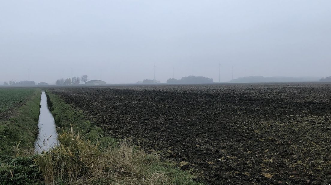 De plek waar het windpark waarschijnlijk verrijst. Op de achtergrond windpark Delfzijl Zuid.