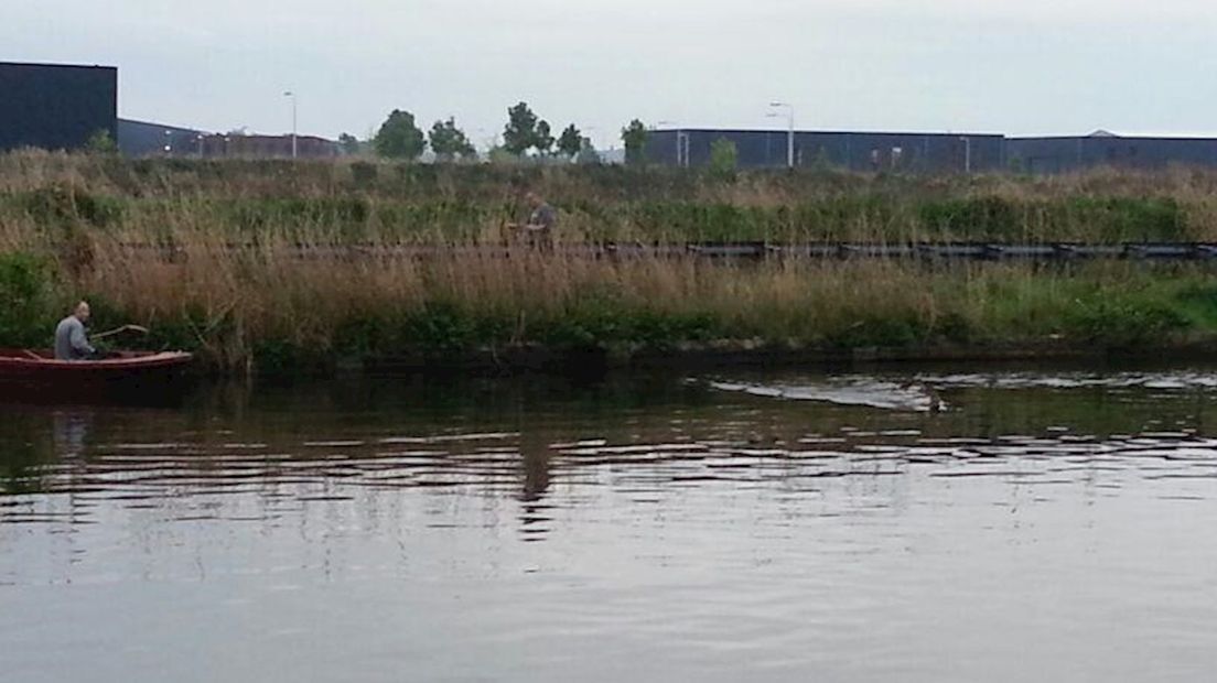 Mannen redden ree uit water in Hardenberg