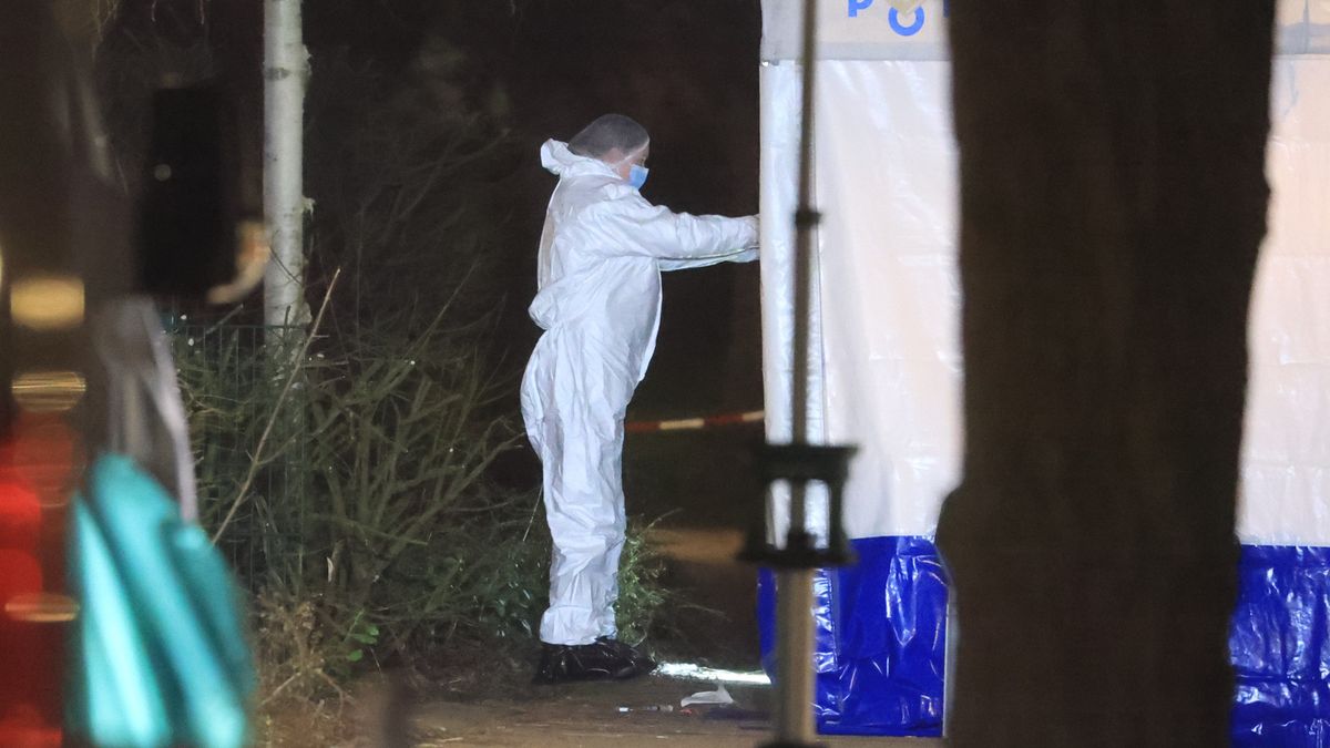 Verdachte (18) niet langer vast na dood Gianinni (16): 'Slachtoffer wilde zijn scooter stelen'