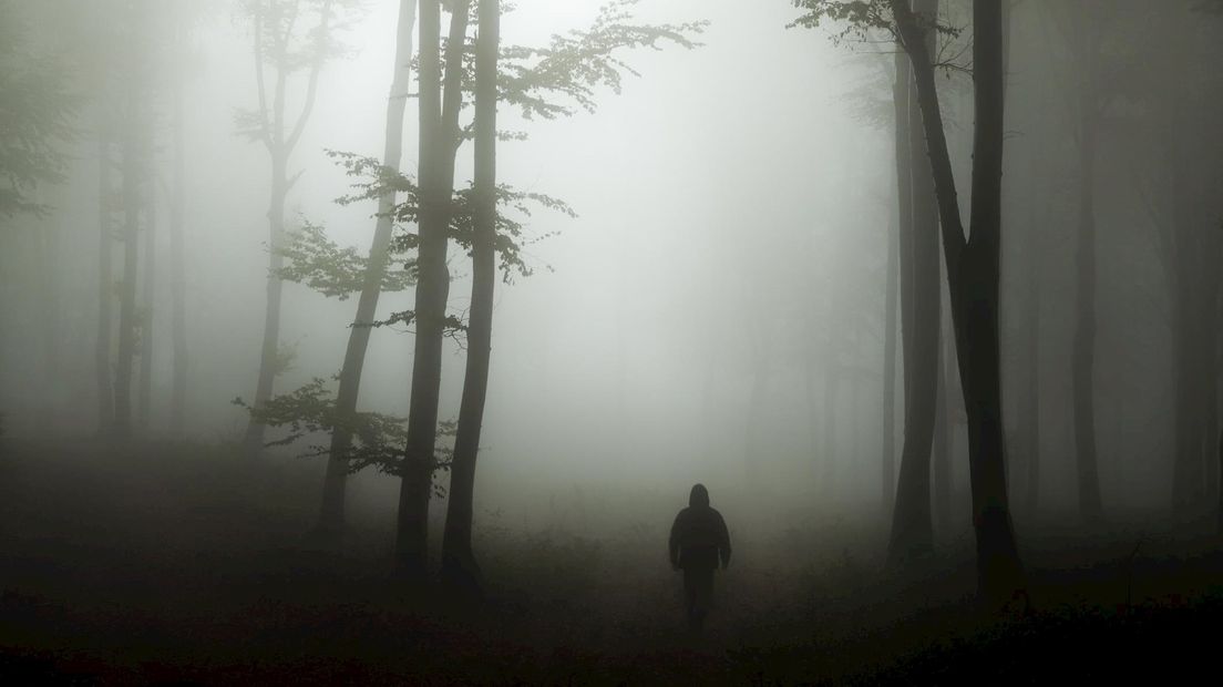 De huisgenoot stond doodsangsten uit in het bos