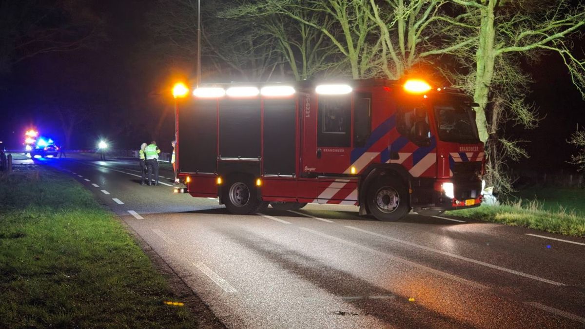 Auto tegen boom, bestuurder overleden