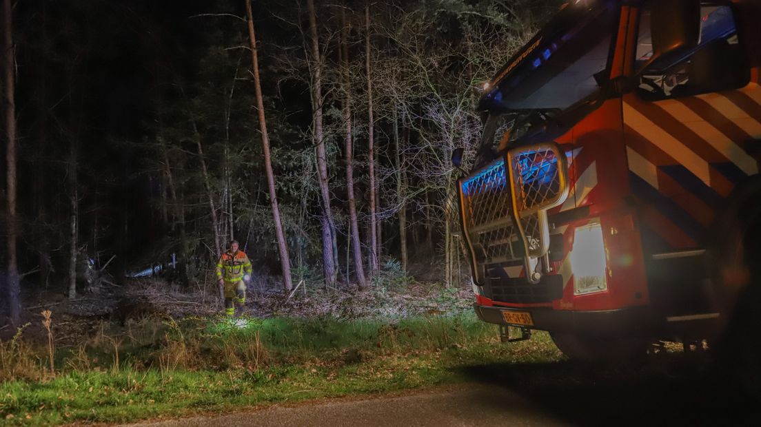 Een stuk bos van zo'n 10x10 meter is in de nacht van donderdag op vrijdag in vlammen opgegaan. De brand in het stuk bos ter hoogte van het Herenhul werd rond 01.00 uur ontdekt.