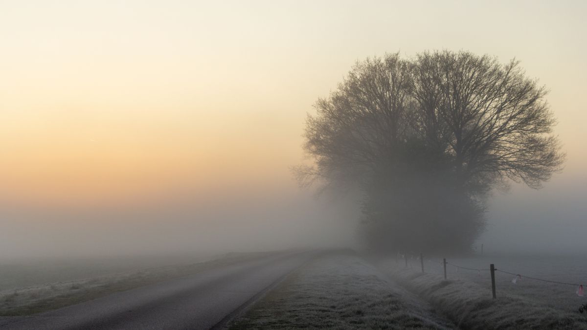 Code geel vanwege mist en gladde wegen: 'Kan heel verraderlijk zijn'