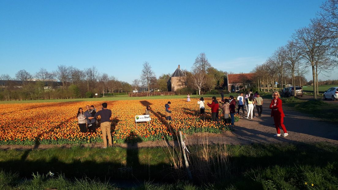 Mensen staan ondanks de waarschuwingsborden in de bollenvelden van bollenkweker John van der Slot.