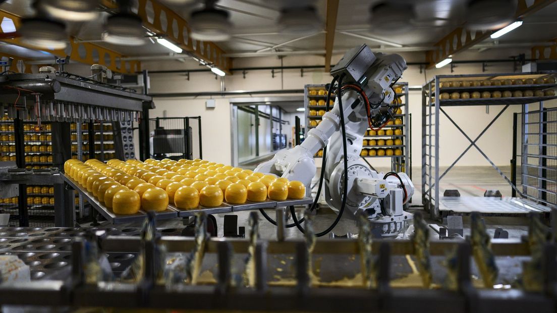 Een afdeling van FrieslandCampina waar kaas wordt gemaakt.