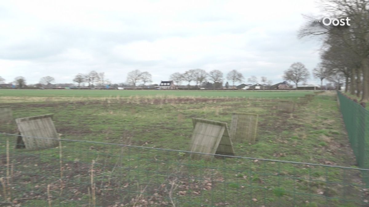 Pluimveehouders Dirk en André Smid uit Heemserveen over de ophokplicht