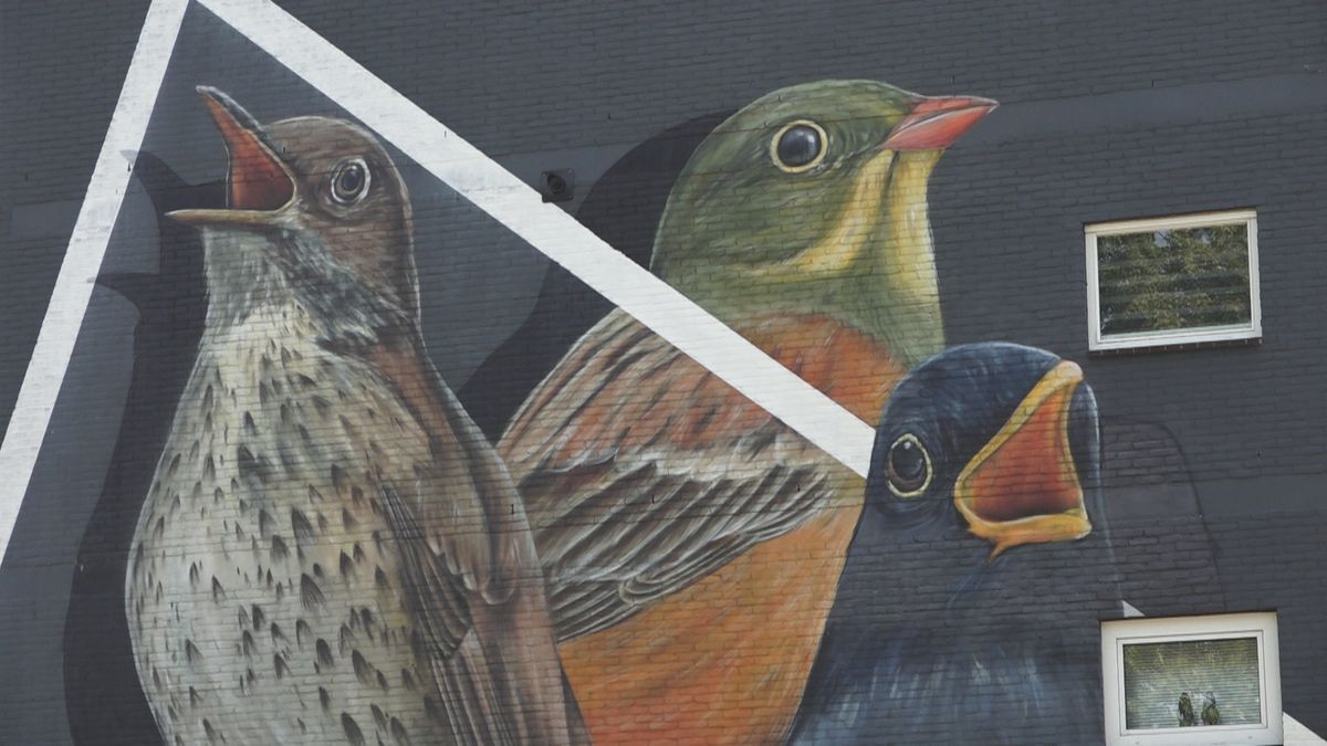 Wat is de mooiste muurschildering? Elke dag een kanshebber: de vogels van Joost Zwanenburg