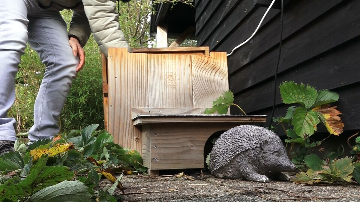 Egelhuisjes uit de schappen gehaald, Lucas uit Emmen ontwerpt diervriendelijkere