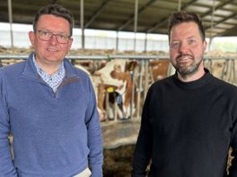 'Mestbeleid is een politieke keuze met grote gevolgen veehouderij': onderzoeker en boer over mestcrisis