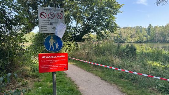 Burgemeester na massale vogelsterfte: 'We moeten er rekening mee houden dat dit vaker gebeurt' Home