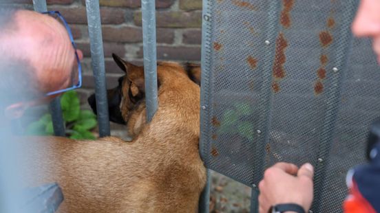 Brandweer bevrijdt hond uit poort