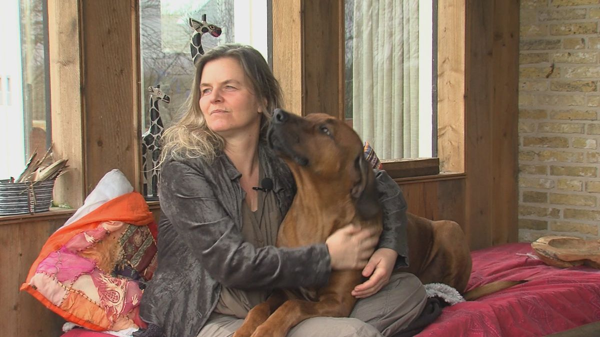 Vrouw met MS organiseert Elfstedentocht voor mensen met beperking