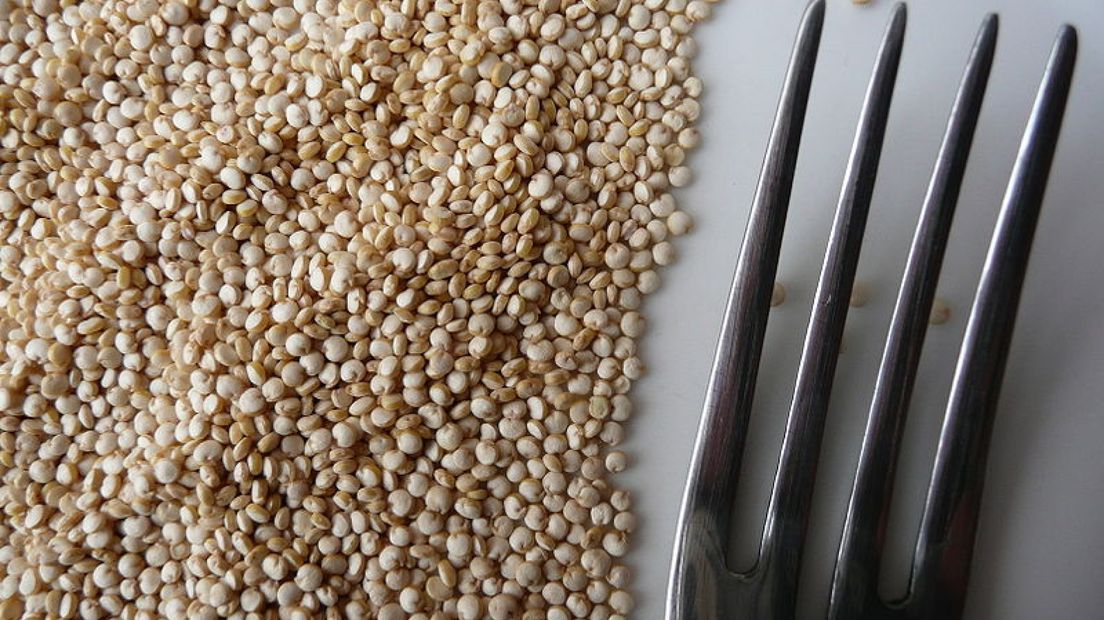 Dit jaar nog Nederlandse quinoa in de supermarkt