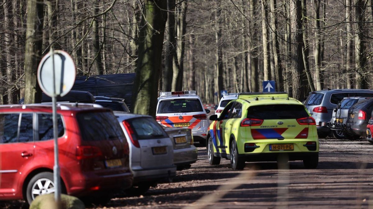 Aangehouden man na neersteken jong kind is 46-jarige uit Aa en Hunze