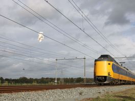 Zwaan vast in bovenleiding van traject Zwolle-Meppel, treinverkeer stil vanwege reddingspoging