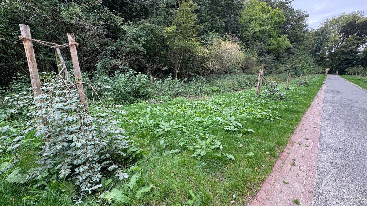 Hoge pieptoon en gesloten toegangspoort moet vandalen buiten het Kasteelpark houden