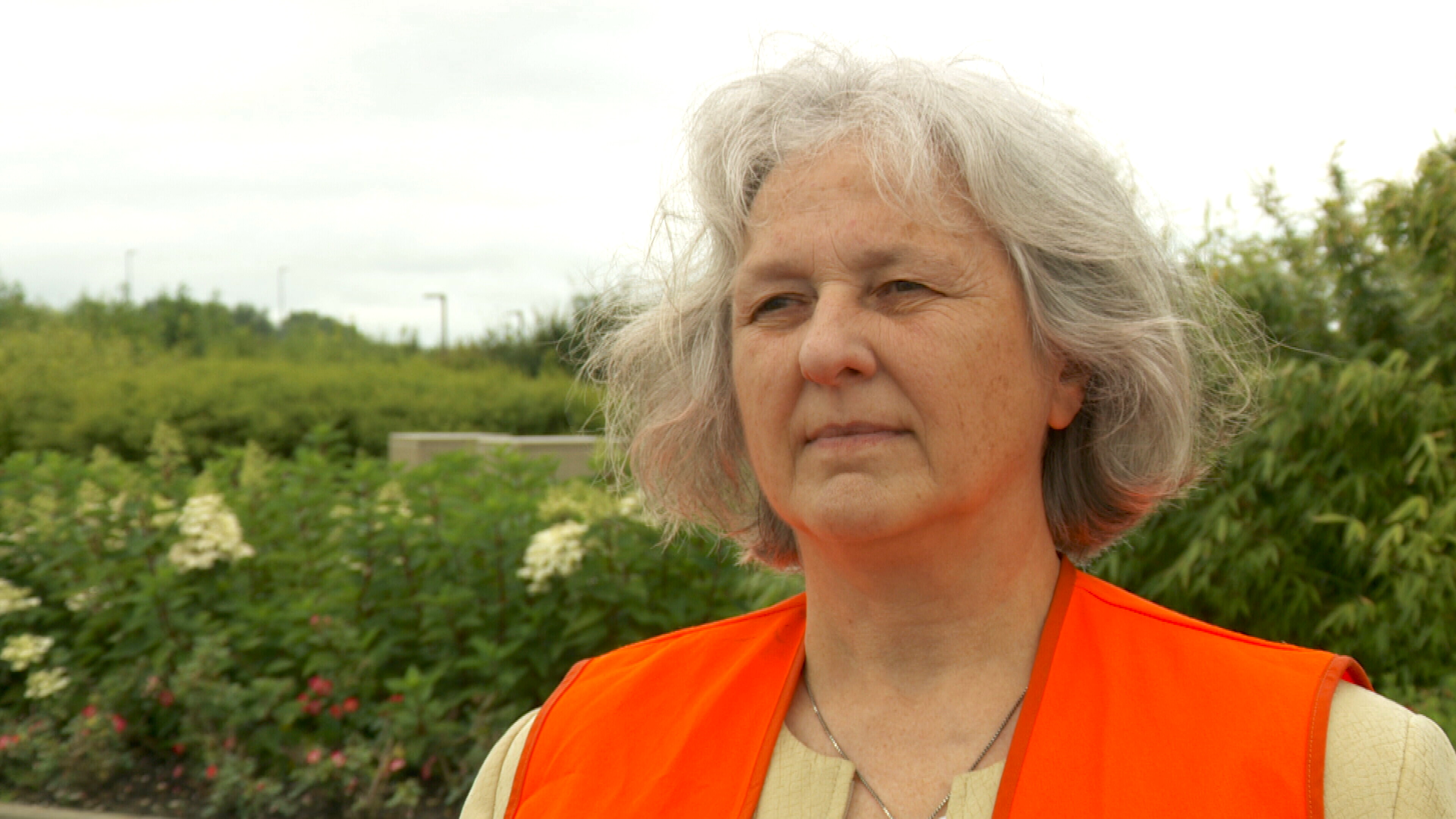 Agnes Bernhardt fan Rykswettersteat