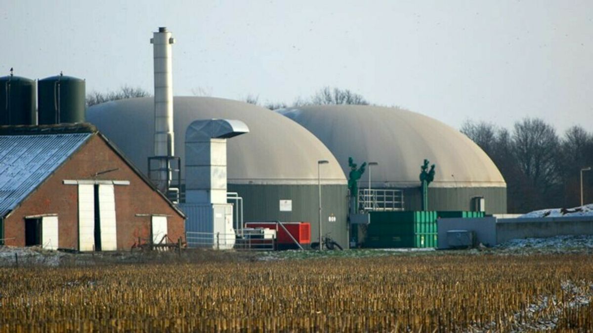 Besluit van Gemeente Meppel over mestvergisters vernietigd: 'Onvoldoende onderzocht'