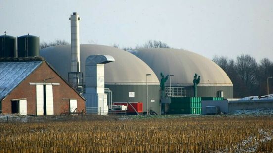 Besluit van Gemeente Meppel over mestvergisters vernietigd: 'Onvoldoende onderzocht' Nieuws