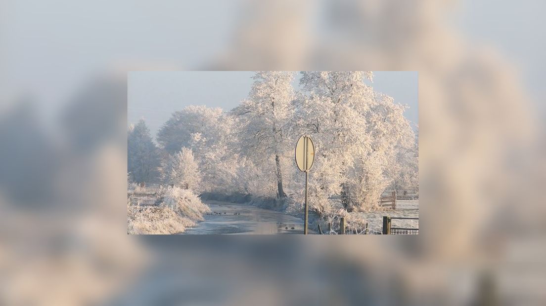 Foeke Boersma fan Surhústerfean makke dizze foto