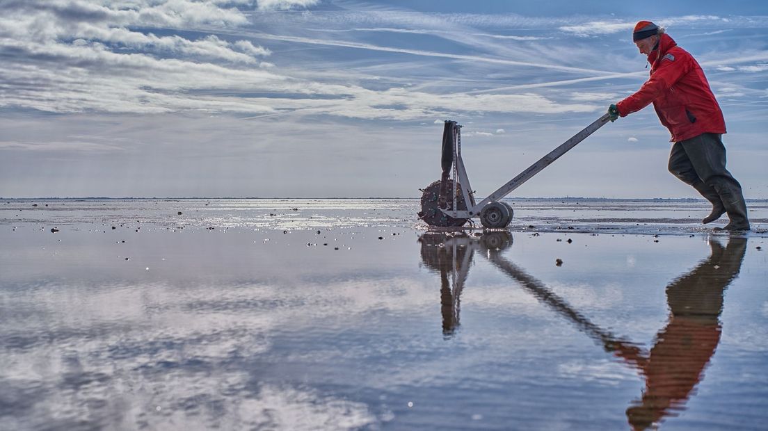 Bij het zaaien van zeegraszaad wordt ook deze speciale machine gebruikt