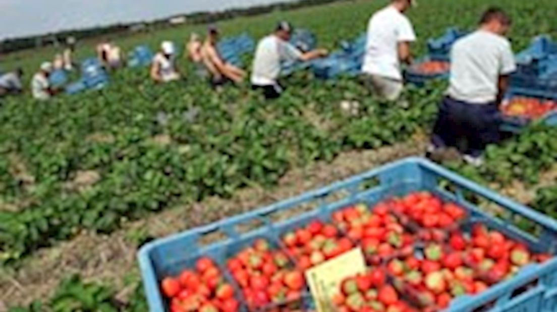 Radio Oost zoekt vakantiewerkers!