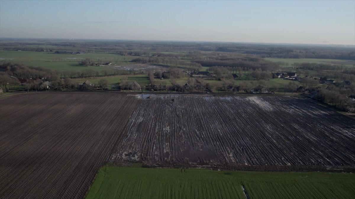 Omwonenden Noord Lheeder Es: Er wordt veel meer gespoten in de lelieteelt