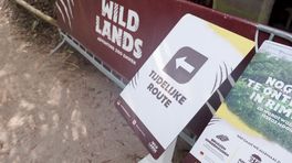 Hele kuifibisfamilie overleden door mogelijke vogelgriep