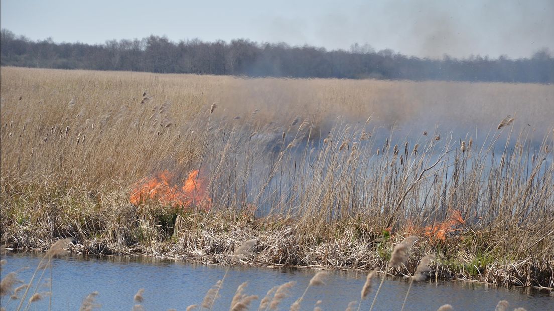 Brand in kwetsbaar natuurgebied Giethoorn